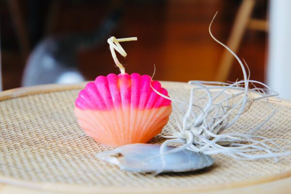 sunrise shell