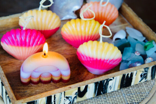 sunrise shell