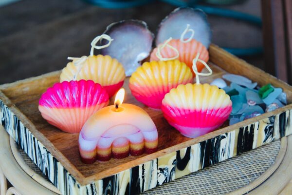sunrise shell