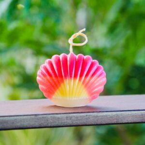 sunrise shell