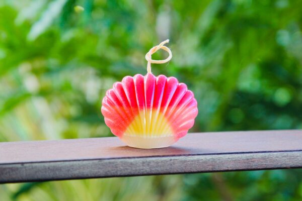 sunrise shell