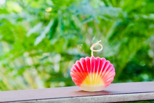 sunrise shell